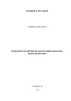 Monografia HERMANO.pdf