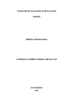 Monografia Andrea C Boca.pdf