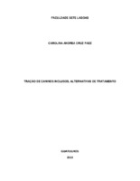 Carolina Andrea Cruz Paez_Monografia.pdf