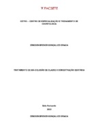 ERICKSON BRENER GONÇALVES BRAGA (1).pdf