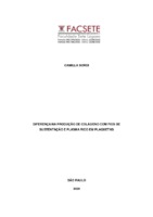CAMILLA SORDI TCC  finalizado 2020.pdf