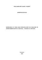 Anderson de Souza_Monografia.pdf