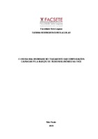 TCC TATI COMPLETO 31-12-2020.pdf