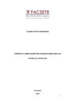 Alcides Ribeiro -Monografia.pdf