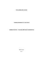 TCC - VANESSA SERRANO.docx final.pdf