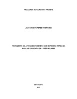 TCC - João Vicente Feres Rodrigues.pdf