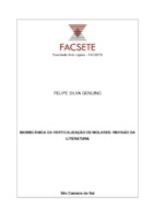 TCC FELIPE SILVA GENUINO.pdf