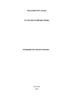 Monografia Victor Hugo Scomparin Tundisi - correto 2.pdf