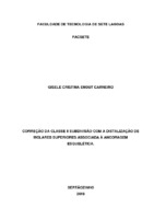 Monografia Gisele Cristina Enout Carneiro.pdf