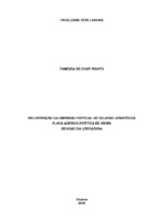 MONOGRAFIA VANESSA DE CONTI POIATO.pdf