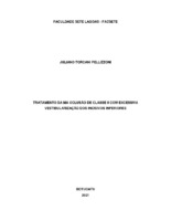 TCC - Juliano Torcani Pellizzoni.pdf