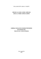 Déborah da Cunha Oliveira Campolina e Jéssica Altíssimo Gontijo Alberto.pdf