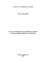 TCC Revisão de literatura.pdf