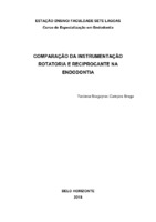 MONOGRAFIA TACIANA BRAGA .pdf