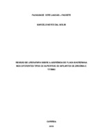 REVISAO DE LITERATURA - revisada e pdf.pdf