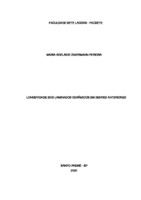 MONOGRAFIA MARIA ADELAIDE ZIMERMANN PEREIRA CEEPO (1) (1).pdf