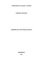 TRABALHO FINAL DE P+ôS. ERICA REIG SERRANO.pdf