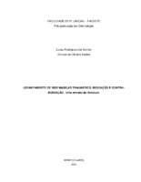 lucas e vinicius corrigido.pdf