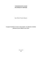 Susan Maynis Theodosio Nogueira - TCC.pdf