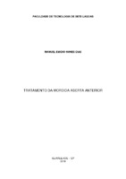 Manuel_Emidio_Monografia.pdf