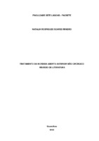 Natalia_Rodrigues_Soares_Mineiro_Monografia.pdf