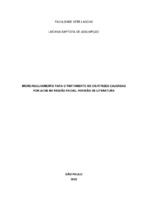 ARTIGO LUCIANA ASSUMPÇÃO (1).pdf