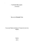 TCC - Bruna Viola.pdf