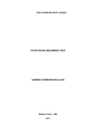 Monografia - Felipe R N Cruz.pdf