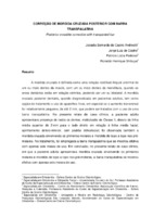 T07 - Jocasta Bernardo de Castro Andreotti.pdf