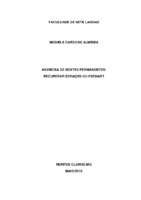 MONOGRAFIA Michele Cardoso (1).pdf