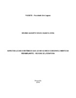 BRUNNO VALIM - TCC FINAL docx (5).pdf