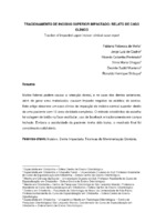 Esfera_Fabiana_artigo.pdf
