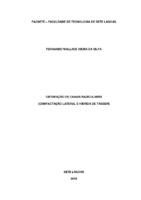 Obturação dos Canais Radiculares (FERNANDO WALLACE).pdf